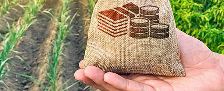 NBFC Agriwise Finserv partners Central Bank of India for agri loan disbursals