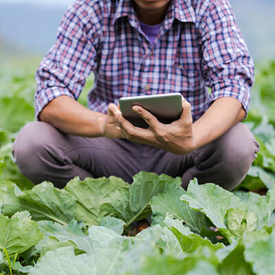Tech Based Aid for Farmers in India