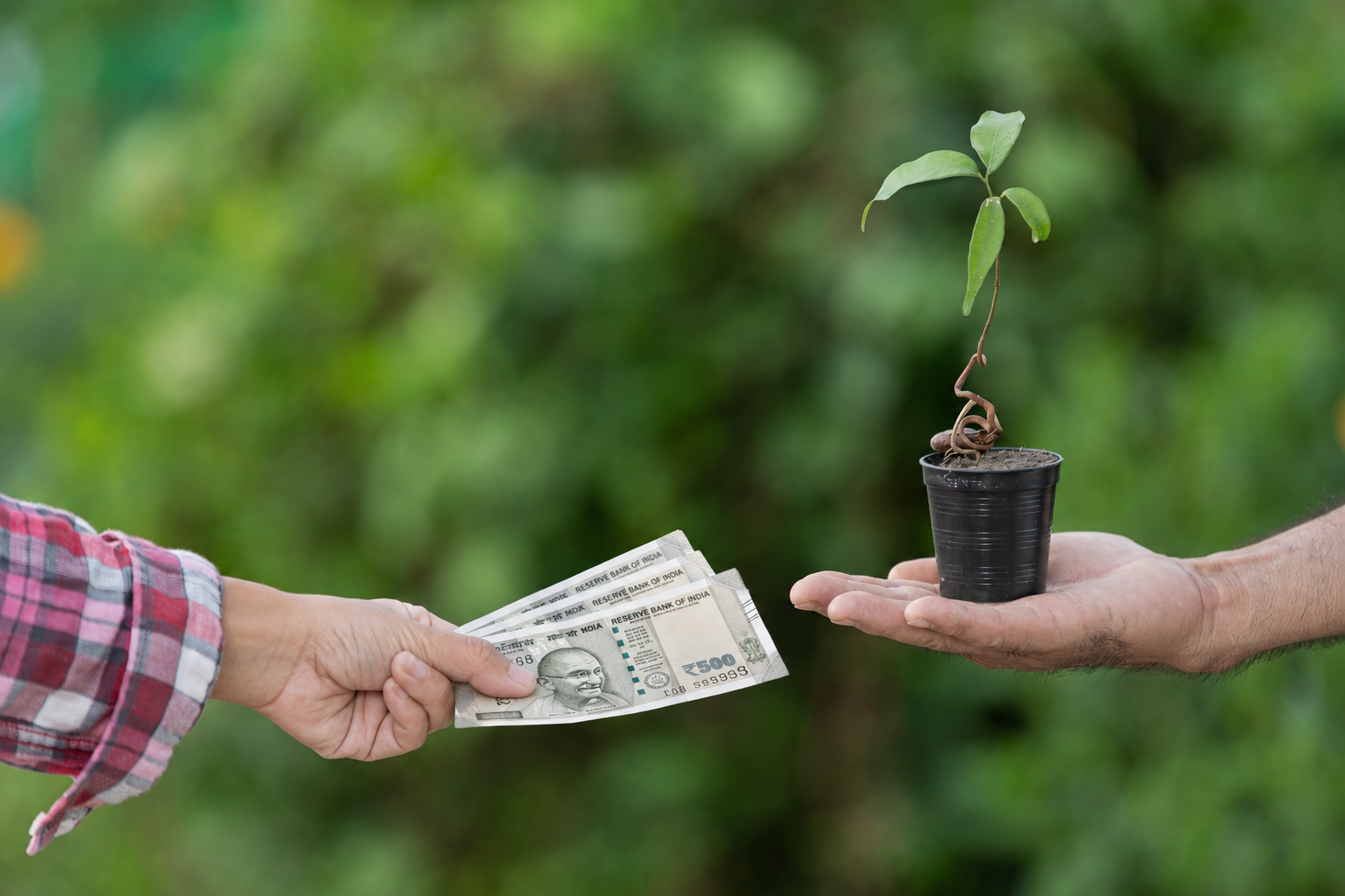 priority sector lending