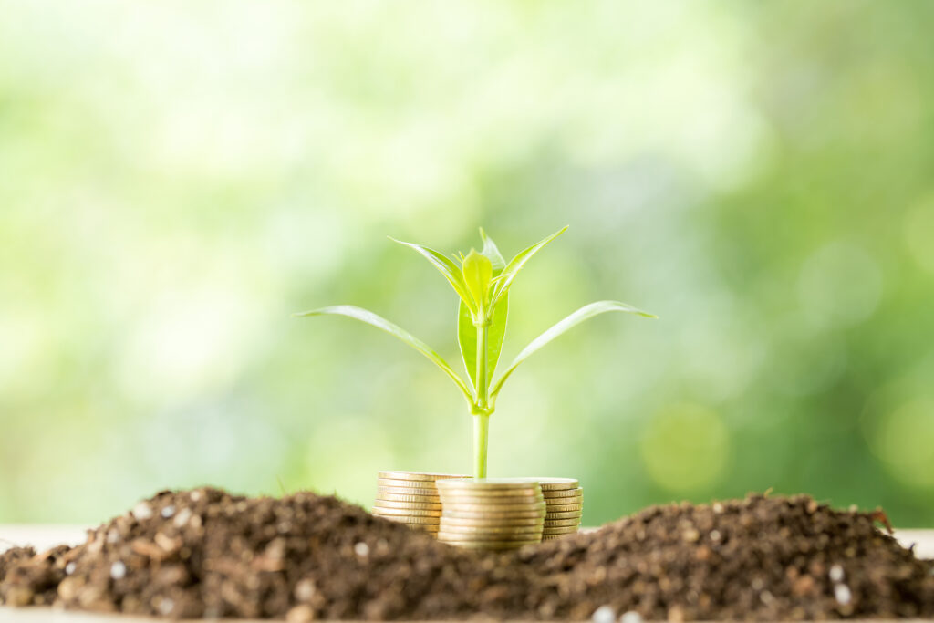 priority sector loan