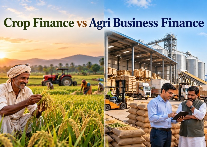 agri business finance