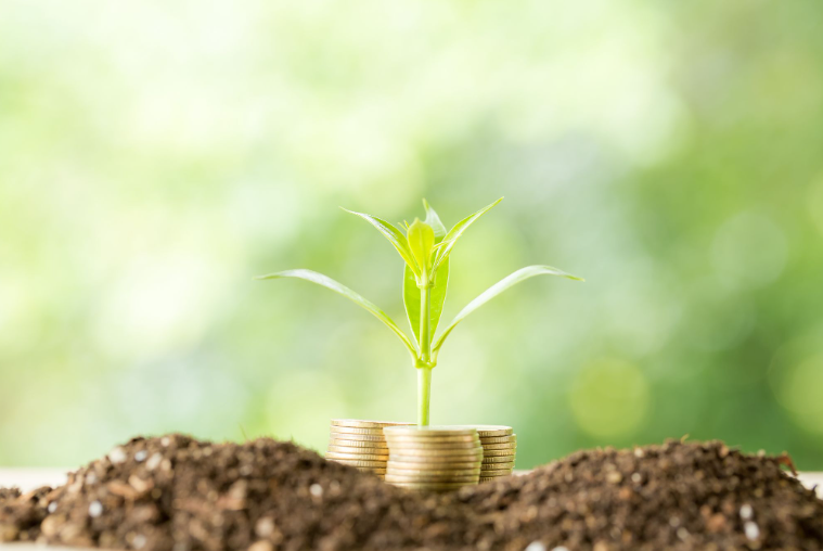 priority sector lending