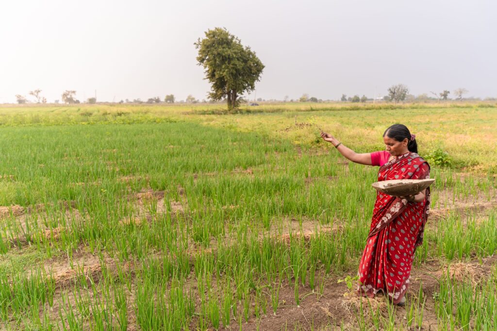 low interest farm loans
