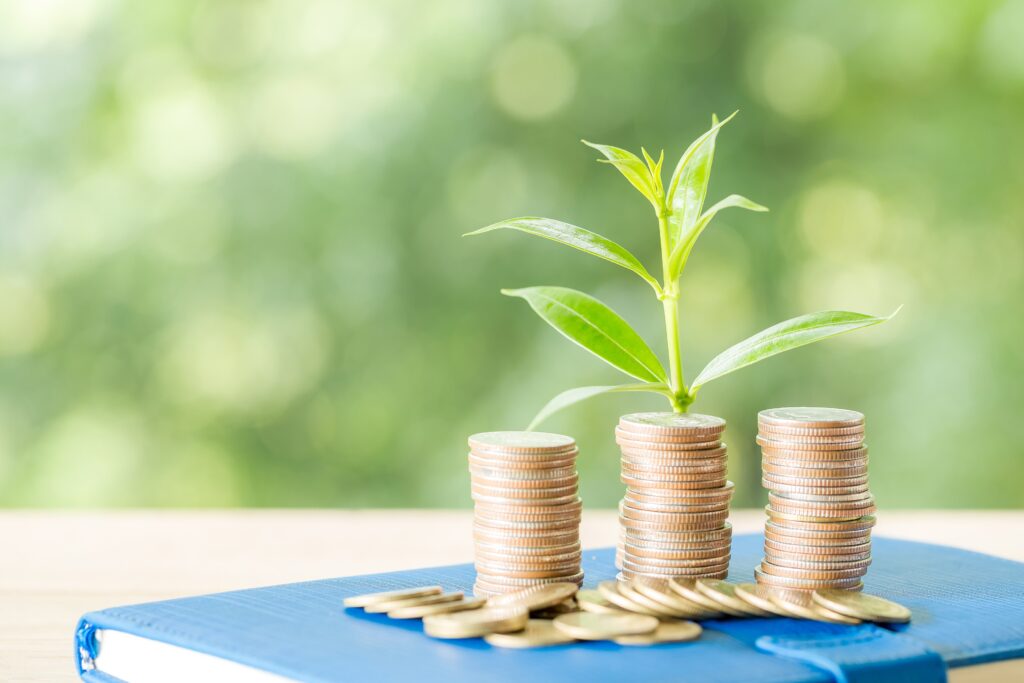 agricultural loans
